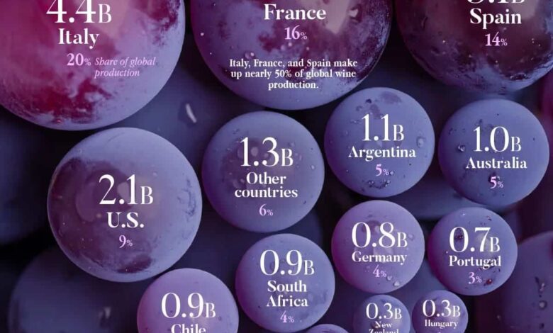 Какие страны лидируют в мировом производстве вина в 2024 году и почему Европа теряет позиции