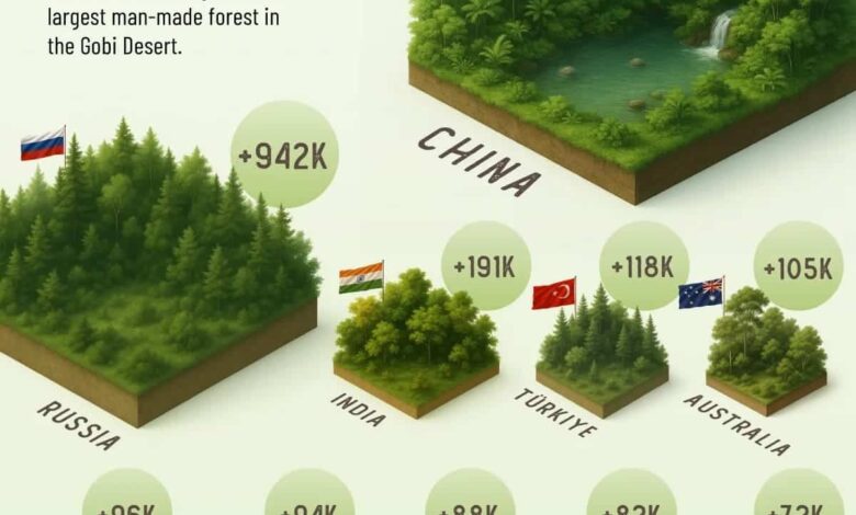 Which Countries Have Increased Their Forest Areas the Most Over the Last Decade