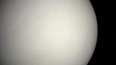 Как выглядит Венера глазами человека и почему мы редко видим ее настоящей