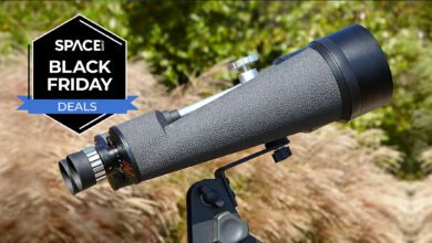 Celestron Skymaster 25x100: мощные бинокли для астрономии по рекордной цене на Черную пятницу