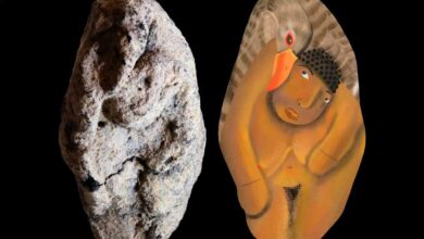 Археологи нашли в Израиле статуэтку с необычной сценой между женщиной и гусем