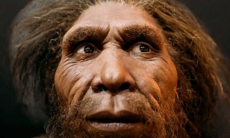 New Study Debunks Connection Between Neanderthal Nose Shape and Cold Climate
