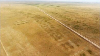 Археологи нашли в Казахстане древний центр с промышленной зоной и развитой инфраструктурой