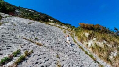 Ученые нашли объяснение загадочным следам на скалах Монте-Конеро в Италии