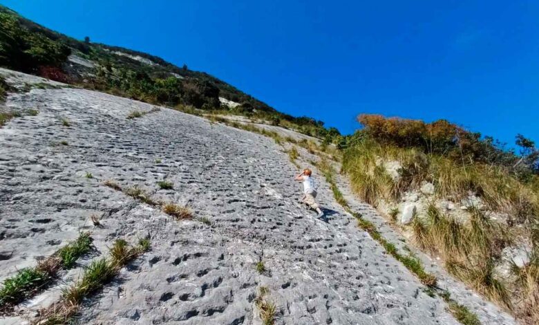 Scientists Uncover the Mystery Behind Strange Tracks on Monte Conero Cliffs in Italy