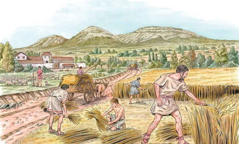 How Grain Taxes Became the Foundation of Early States and Changed the Course of History