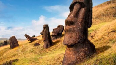 Как соперничество кланов на острове Пасхи породило уникальные статуи моаи