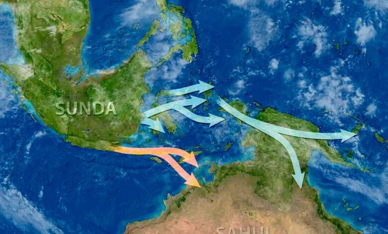 Genetistas descubren cómo los antiguos humanos llegaron a Australia por dos rutas