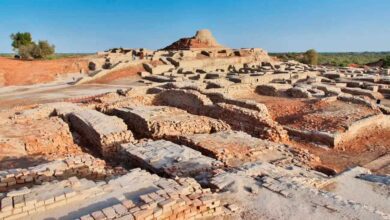 Что погубило Хараппскую цивилизацию: ученые раскрыли детали климатической катастрофы