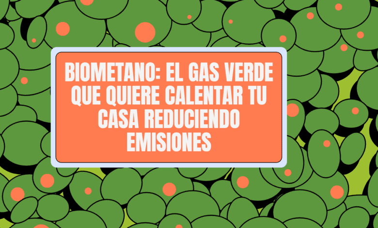 Испания делает ставку на биометан: как зеленый газ меняет энергетику страны