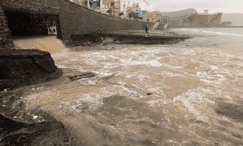 Canary Islands Brace for Storm: Alerts Issued, Schools Closed