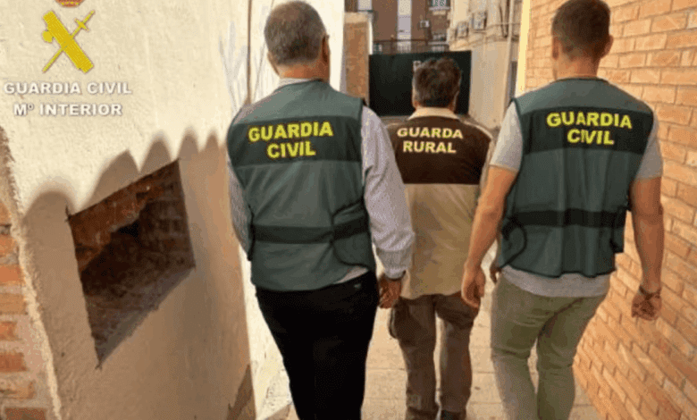 Detenido un guarda en Toledo por matar un águila imperial en un coto de caza