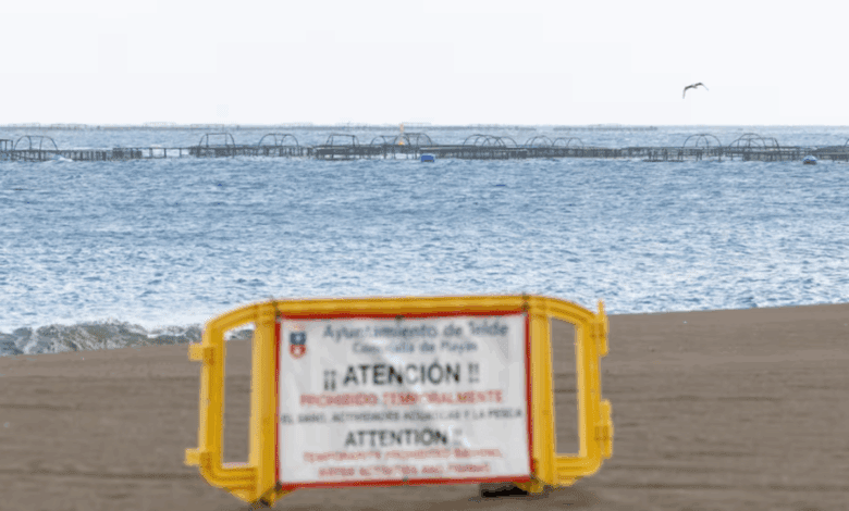 Muerte masiva de peces en Gran Canaria: playas cerradas a los bañistas