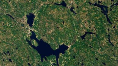 В шведском кратере Сильян нашли микроорганизмы