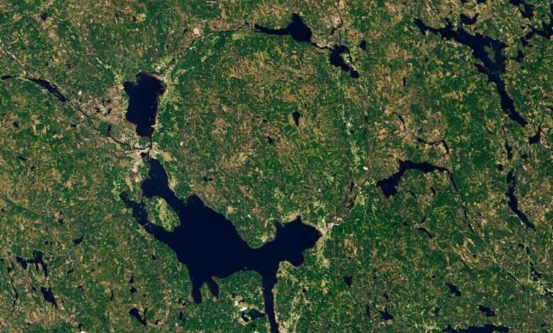 Microorganisms Capable of Surviving Martian Conditions Found in Sweden’s Siljan Crater