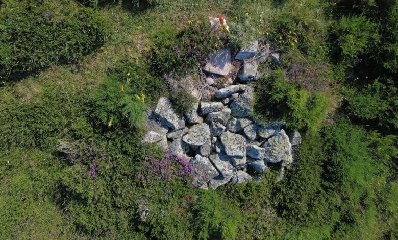 В Браньосере при посадке леса обнаружили уникальный неолитический комплекс