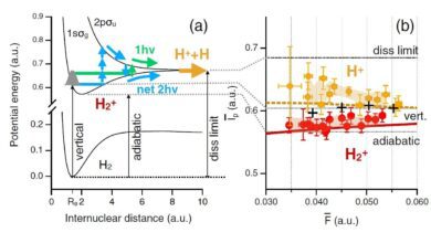 Физики раскрыли тайны молекул с помощью лазерных вихрей и электронных тороидов