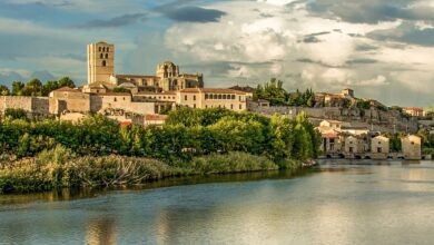 Население Саморы в 2025 году: актуальные данные о жителях города