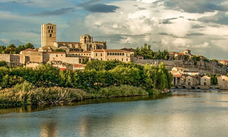 Zamora’s Population in 2025: Updated Figures and City Demographics