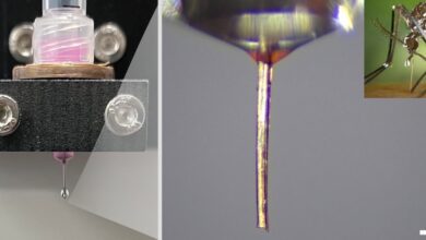 Ученые создали сверхтонкое сопло для 3D-печати из хоботка комара