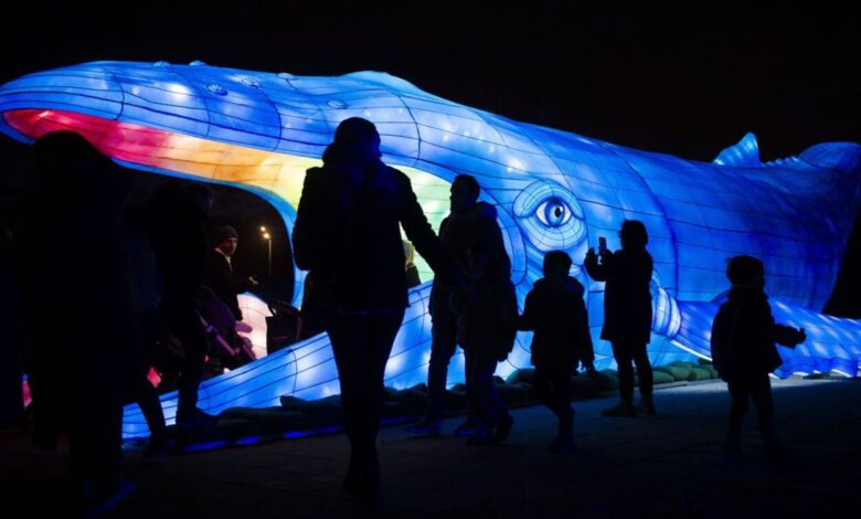 En Madrid se inaugura Brilla Zoo: un espectáculo luminoso único con animales y proyecciones acuáticas