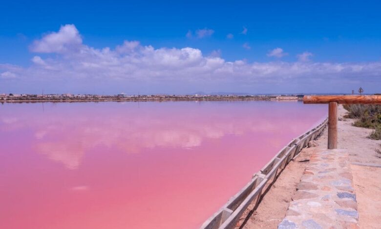 Pink Lagoon and Double Coastline: What Makes San Pedro del Pinatar Stand Out in Autumn