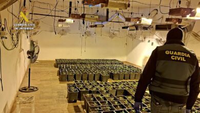 Пять человек задержаны после смертельного нападения при попытке кражи марихуаны в Чиклане