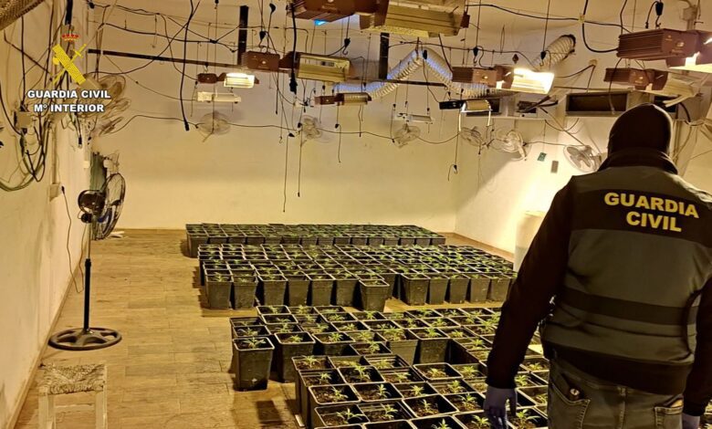 Five arrested after deadly attack during attempted marijuana theft in Chiclana