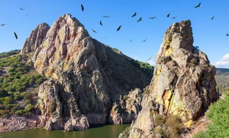 Monfragüe: Autumn Paradise for Tourists in the Heart of Extremadura