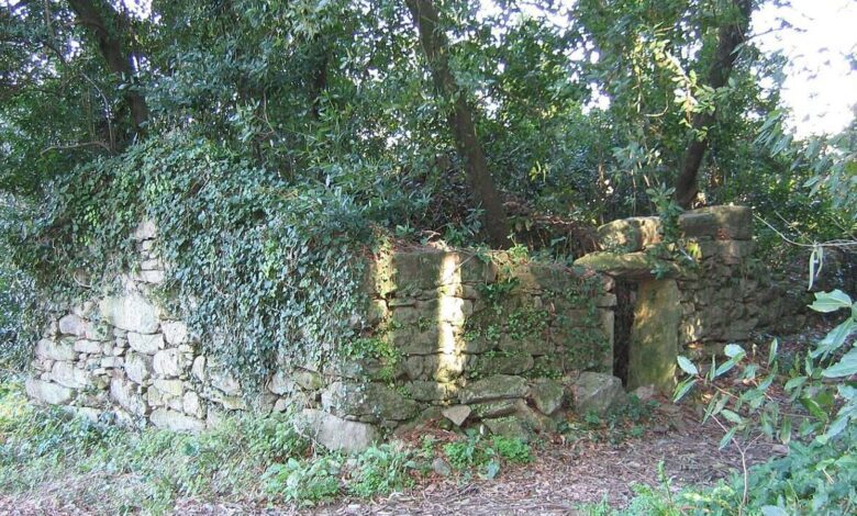 The Cursed Village of Galicia Lost Among Forests and Legends
