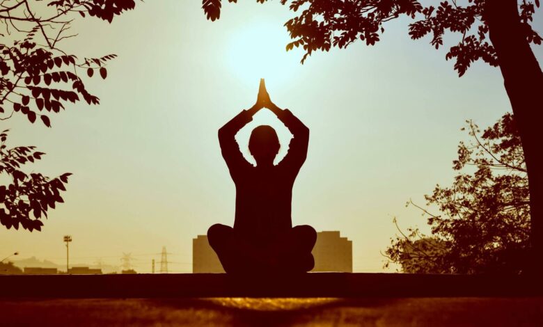 Gustavo Dies Explains Why Stress Is Essential for Human Survival and Development