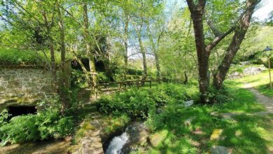 Осенний пеший маршрут в Галисии вдоль реки со старинными мельницами