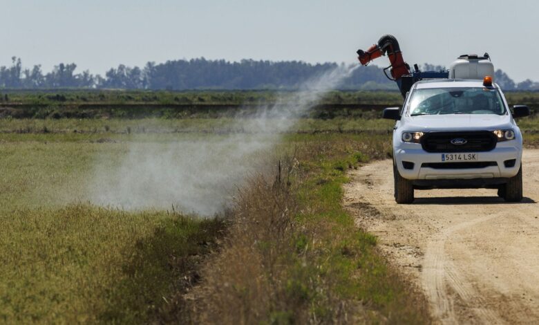 Malaga Company Uses Bats to Combat Nile Virus and Mosquitoes