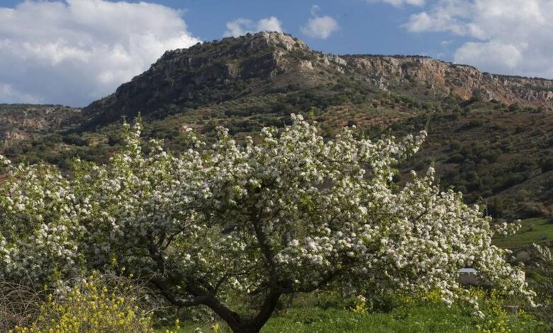 Три городка Альбасете борются за звание самого красивого в Кастилии-Ла-Манче