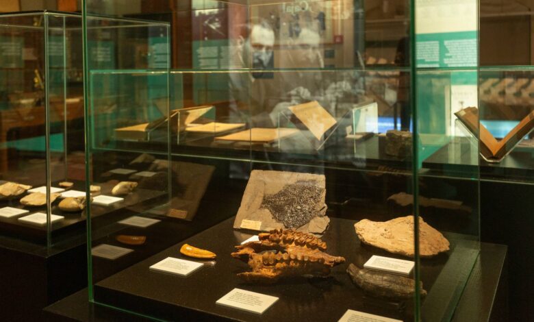 Cómo Ignacio Bolívar transformó el Museo de Ciencias Naturales y se convirtió en un símbolo de la ciencia española