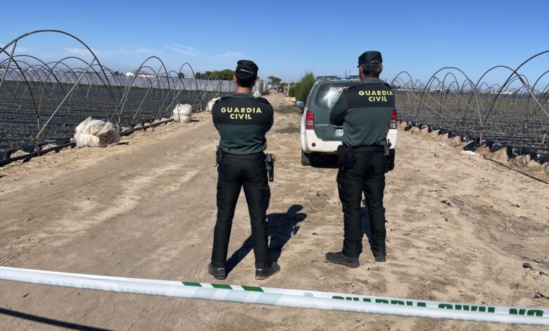 Seven arrested in Alicante for organizing sexual exploitation of Colombian women