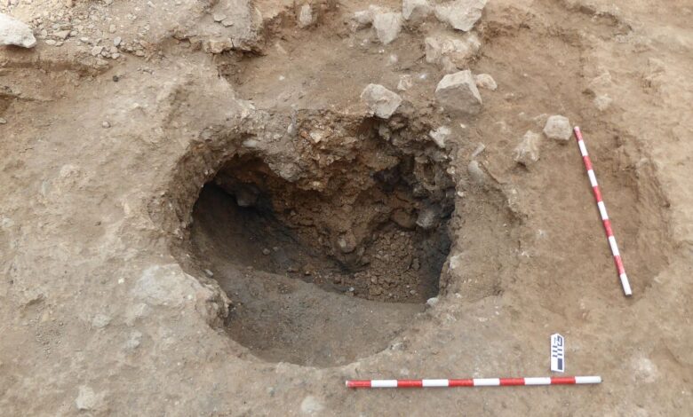 Unique 3rd-Century Wooden Figurine of Hercules Discovered in Central Ibiza