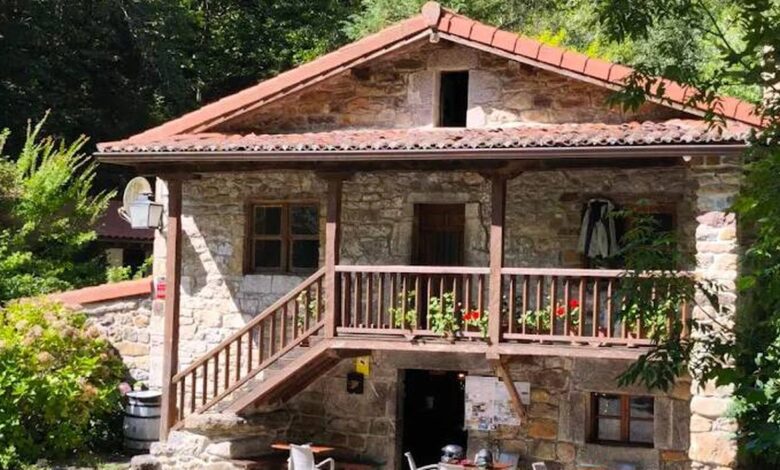 Cozy Campsite in Cantabria: A Nature Retreat for Total Peace and Solitude