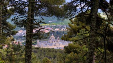 Семь живописных маршрутов для прогулок и велопоездок в Сан-Лоренсо-де-Эль-Эскориал