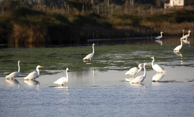 A Natural Park in Catalonia Straight Out of a Hayao Miyazaki Film