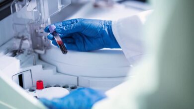 Российские исследователи создали инновационный препарат на основе лейкоцитов для лечения инфекций и воспалений