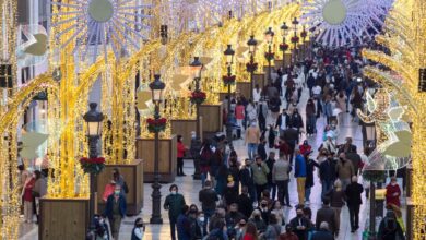 Рождественские огни в Малаге 2025: дата и расписание шоу