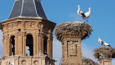 Где в Ла-Риохе купить жилье дешевле всего в 2025 году