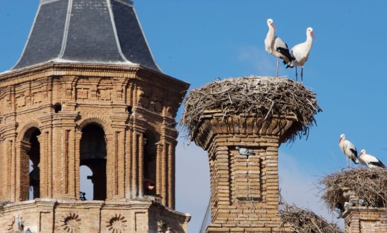 Where to Buy the Cheapest Property in La Rioja in 2025