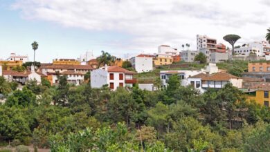 Где в Тенерифе жильё стоит дешевле всего — цены удивляют