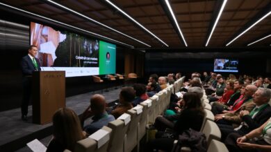 Испанские эксперты обсуждают роль древесины в борьбе с пожарами и оттоком населения