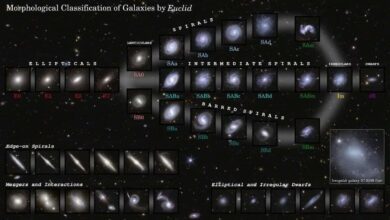 Европейский телескоп «Евклид» за год зафиксировал более миллиона галактик во Вселенной
