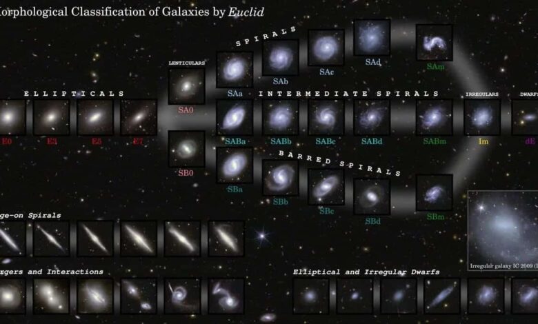 Euclid Space Telescope Maps Over a Million Galaxies in Its First Year