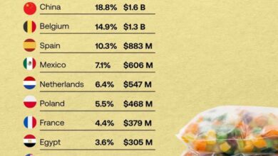 Какие страны лидируют в экспорте замороженных овощей в 2025 году по объёму и деньгам