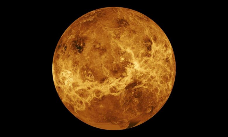 Scientists Reveal Why Venus Lacks Tectonic Plates and How It Differs from Earth